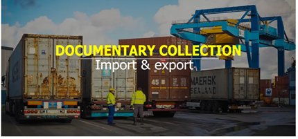 Documentary Collections  